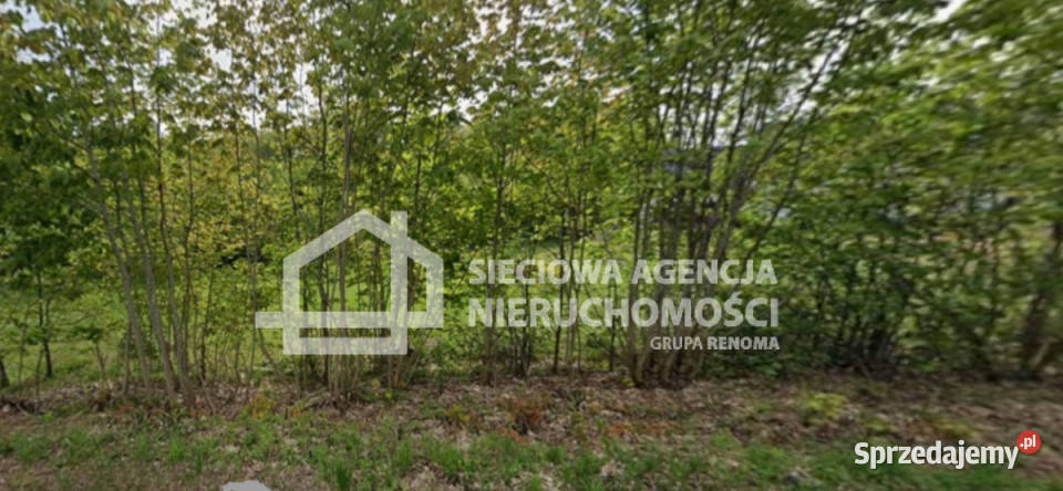 sprzedaży gruntu 13504m2 Kobylasz 1m