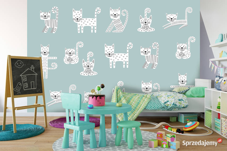 Tapeta fototapeta Kotki dzieci Leszno