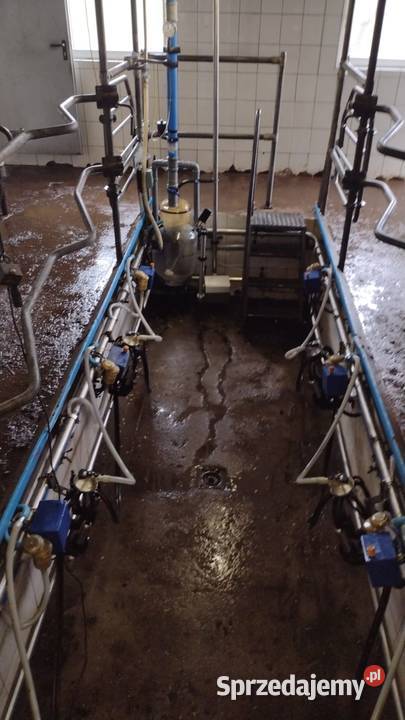 Hala udojowa 8 stanowisk