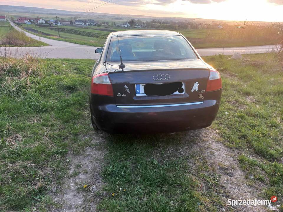 Audi a4 b6 19 TDI130 A4 świętokrzyskie