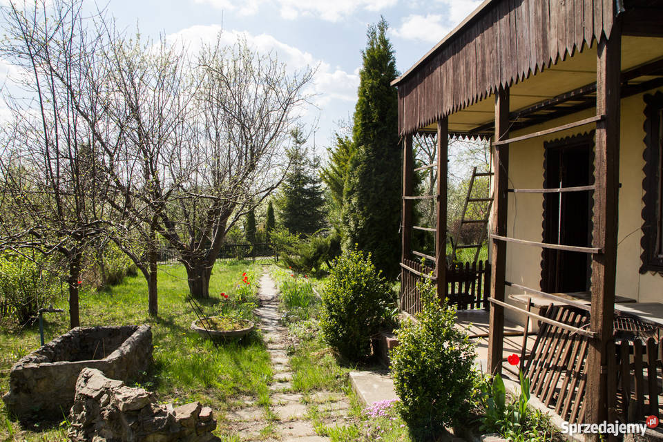 Ogródek działkowy Będzin niedaleko M1 Będzin