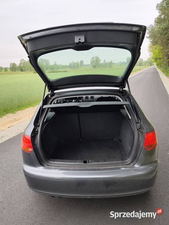 Audi a3 8P 20TDI z Niemiec Dzbanki