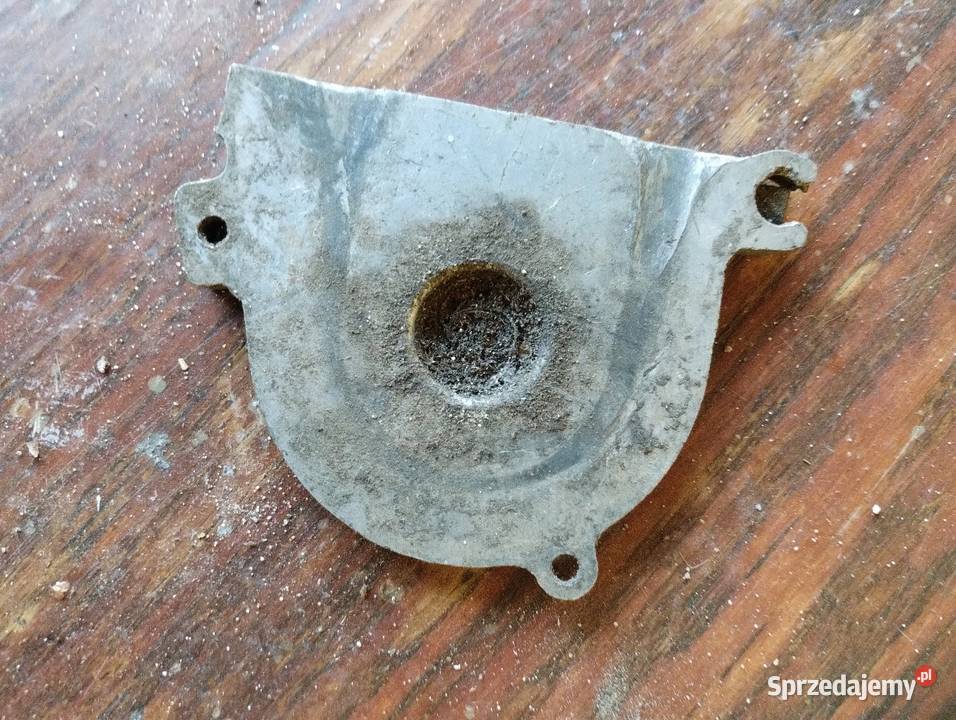 Komar dekiel silnika podkarpackie