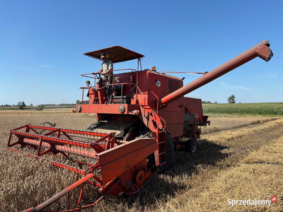Bizon Super Z056 Zbożowe mazowieckie Dzierzążnia