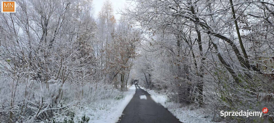 Działka do sprzedania 1558m2 Łuczyce Pod Lasem