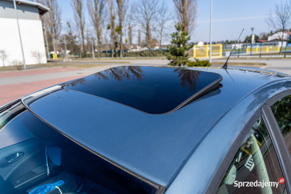 Seat Leon II TDI Golub-Dobrzyń