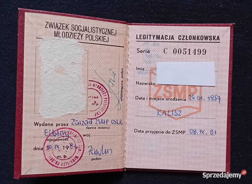 Legitymacja ZSMP Elbląg 1981 r Koźminek