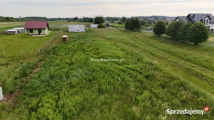 Grunt Krzeczów 2000m2