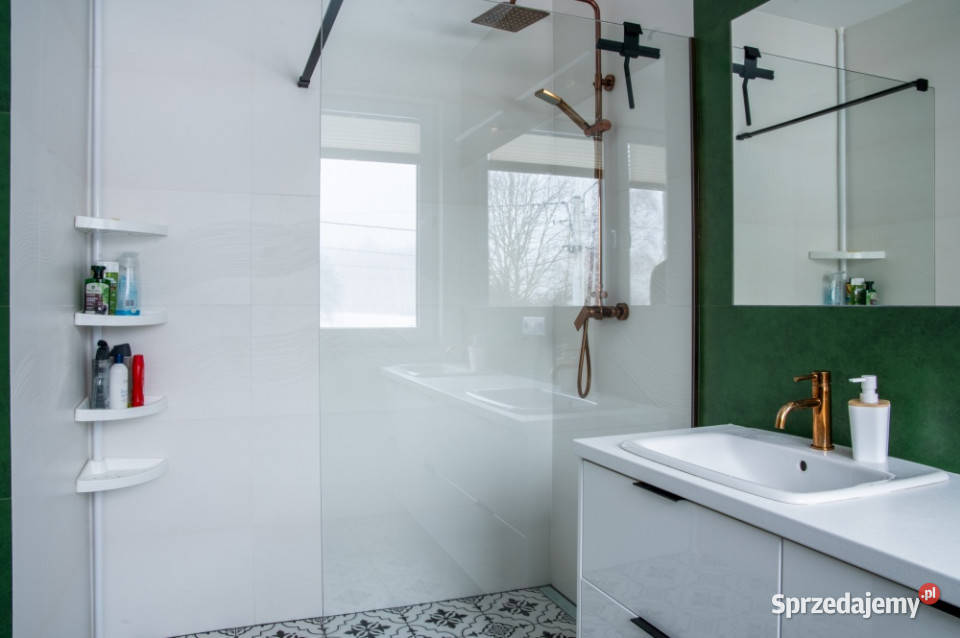 Dom Jednorodzinny Janiszew