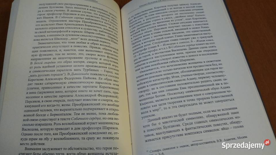 Ezoteryzm w kulturze XX i XXI wieku red Karolina Gdańsk sprzedam