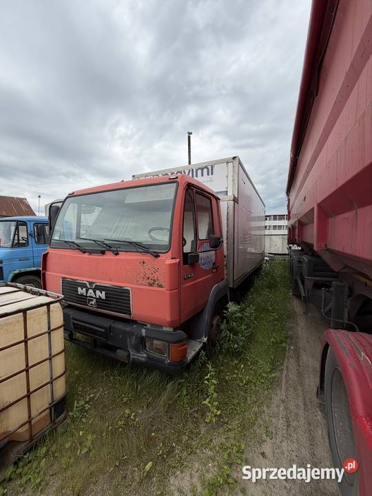 Man 10163 Pleszew