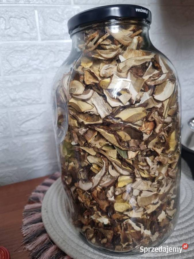 Grzyby Borowik maślak podgrzybek podkarpackie Brzozów