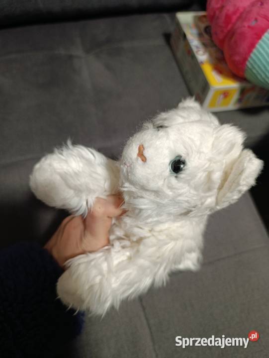 kot biały pluszak maskotka zabawka pluszowa Poznań