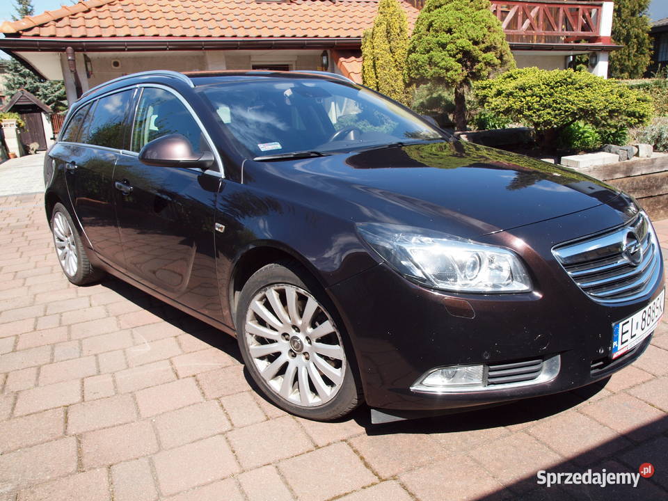 Opel insignia salon