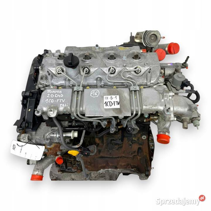 SILNIK 1CD Toyota Corolla E12 20 D4D 116 diesel Chełm