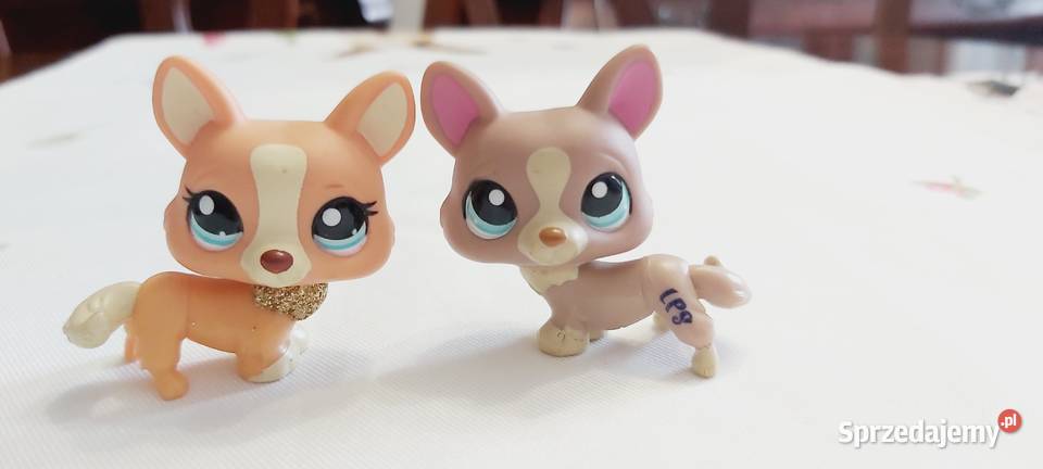 Corgi 2 pieseki z LPS zestaw Braniewo