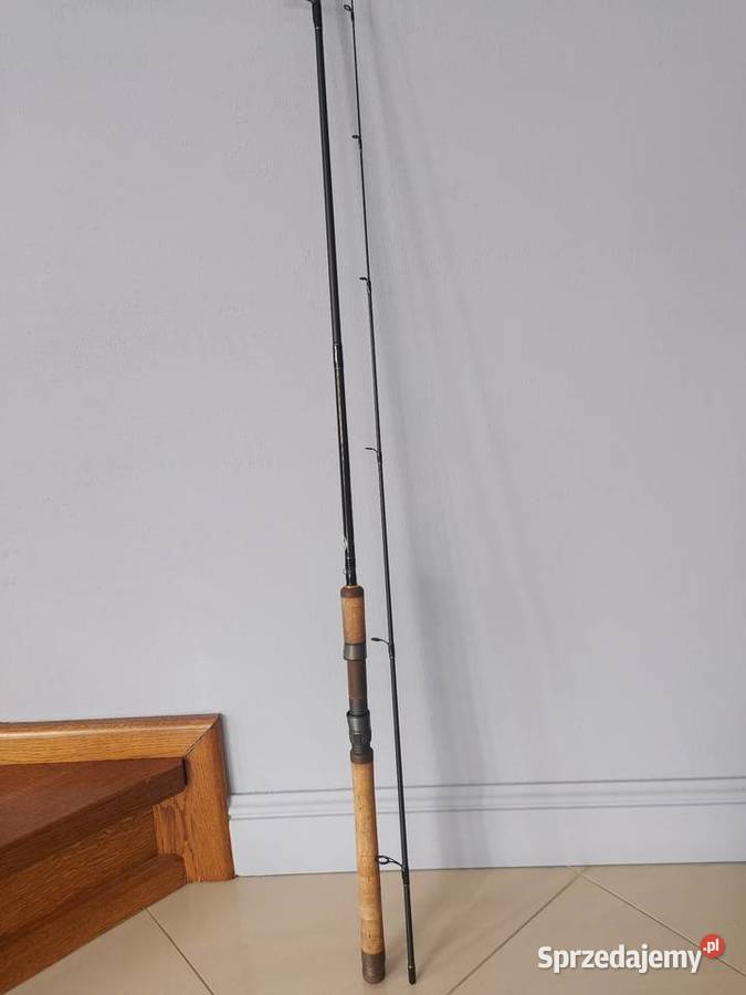 Wedka team dragon 245m 17g Lubin