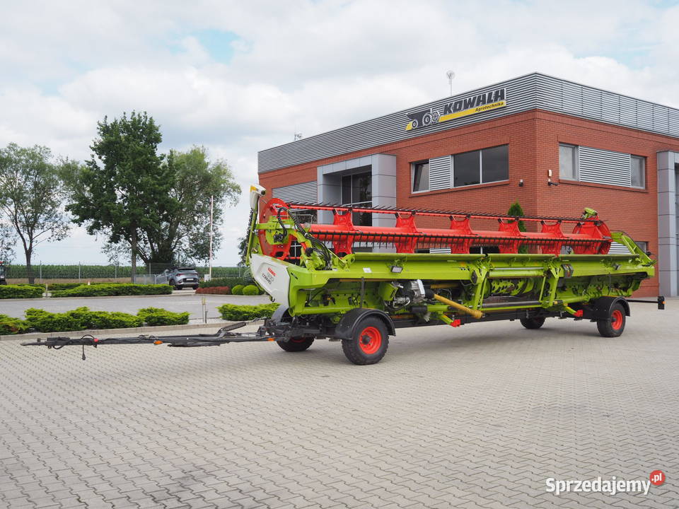 Claas Convio Flex 930 Heder do zboża rzepaku nieuszkodzony Stęszew sprzedam