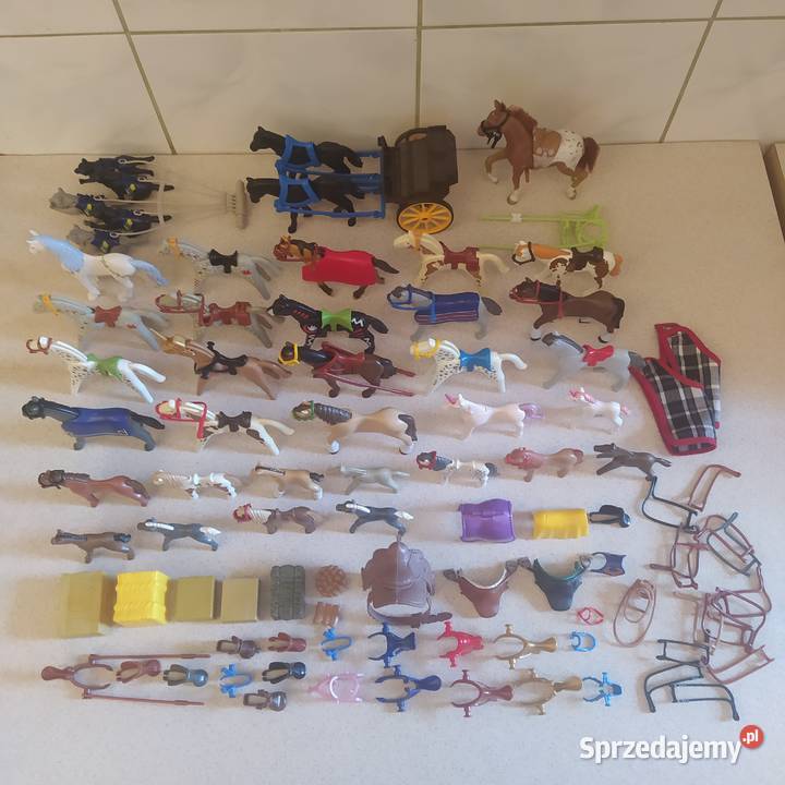 Figurki do zabawy Playmobil Gdańsk