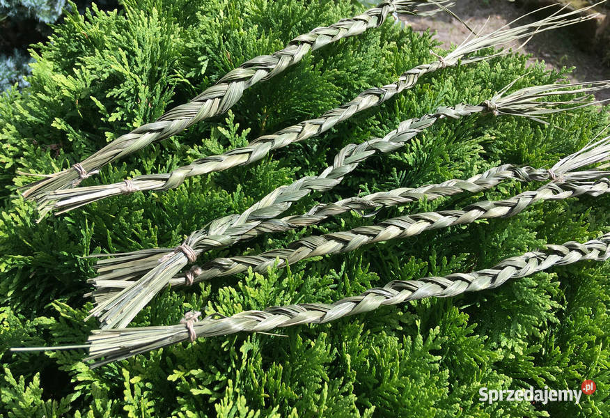 Turówka wonna żubrówka kadzidło warkocz Indianie Wyposażenie wnętrz Kraków