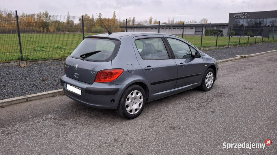 Peugeot 307 Peugeot 307 14 LPG GAZ Klima Pabianice