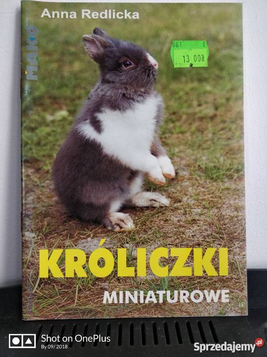 Książka zwierzęta Króliczki Miniaturowe Literatura Nysa sprzedam