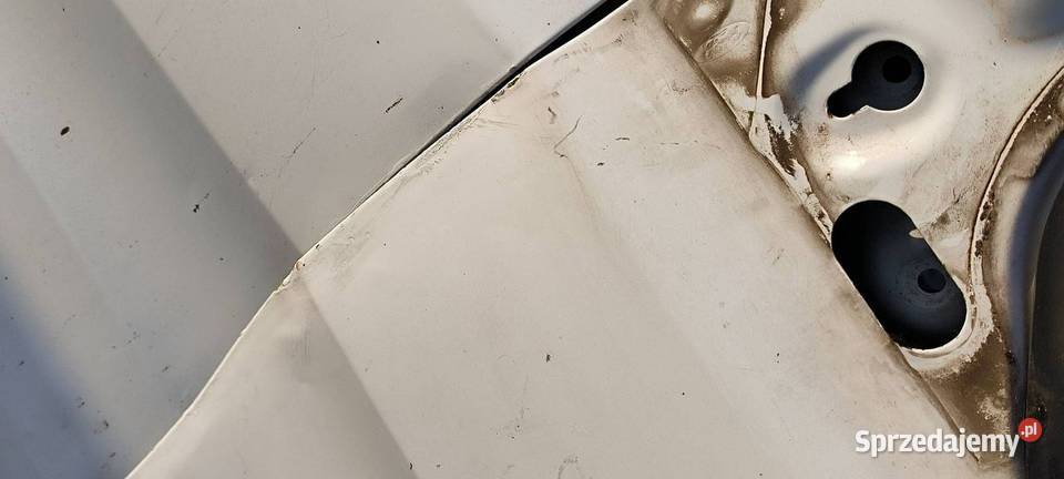 DRZWI LEWE PRZÓD FORD TRANSIT CUSTOM L1H1 FROZEN osobowe Pozostałe Lipno