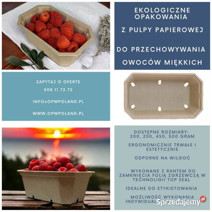 POJEMNIKI NA OWOCE MALINY TRUSKAWKI BORÓWKI Warszawa
