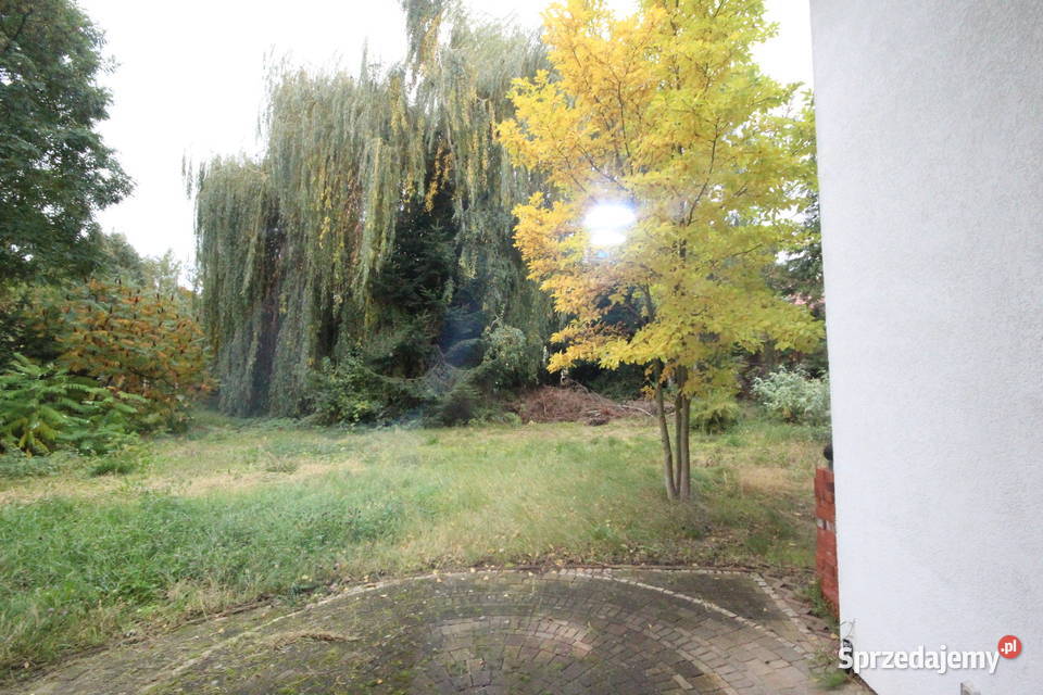 5pok 240met Dębowej BALKONOGRÓD2009 Mędłów Wynajem