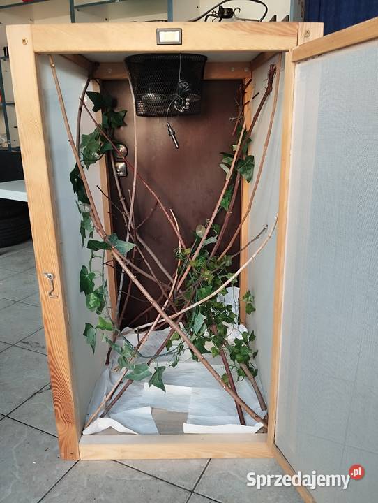 Terrarium kameleonajaszczurki duże wyposażone małopolskie Spytkowice