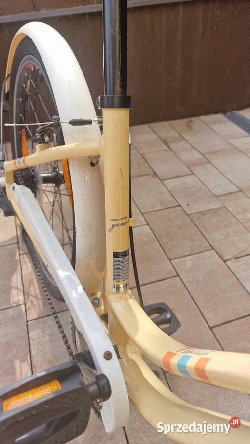Rower Giant Lift loris 24