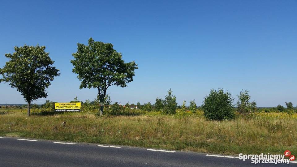 Sprzedam grunt ziemię działka budowlana 255ha Wszemirów