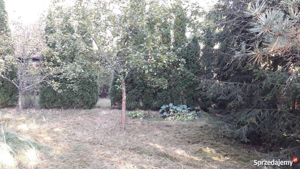 Działka z domkiem letniskowym 30 Warszawy mazowieckie