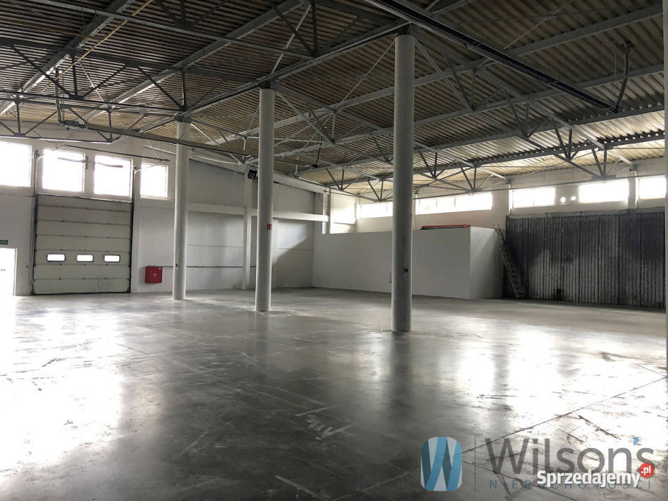 wynajmu lokalu 1570m2 Wiązowna 1570m2 sprzedam