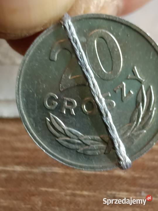 Sprzedam 20 gr 1981 r Chełm