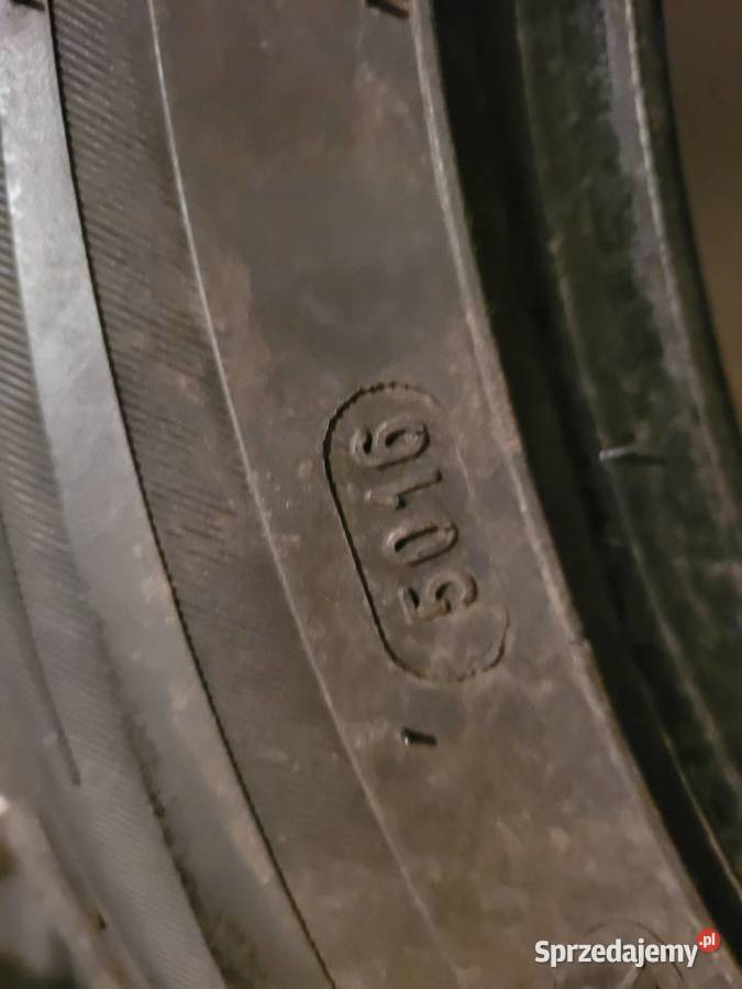 kormoran gamma 2 2055516 2 ładne Lublin sprzedam