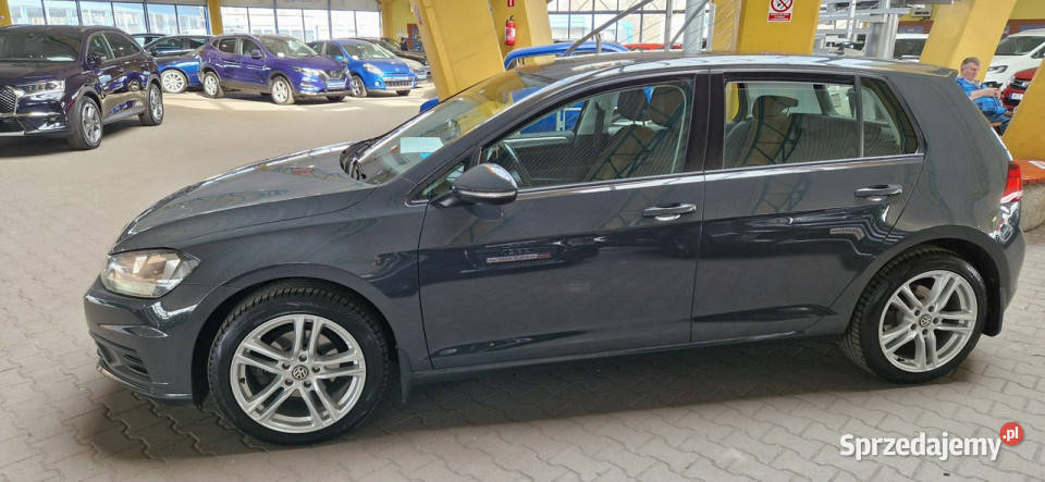 Volkswagen Golf 201920 opis W podanej ROCZNA ESP śląskie Mysłowice