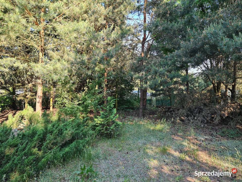 Działka Siedlątków Jeziorsko 800m2 Woda Prąd siatka Aleksandrów Łódzki