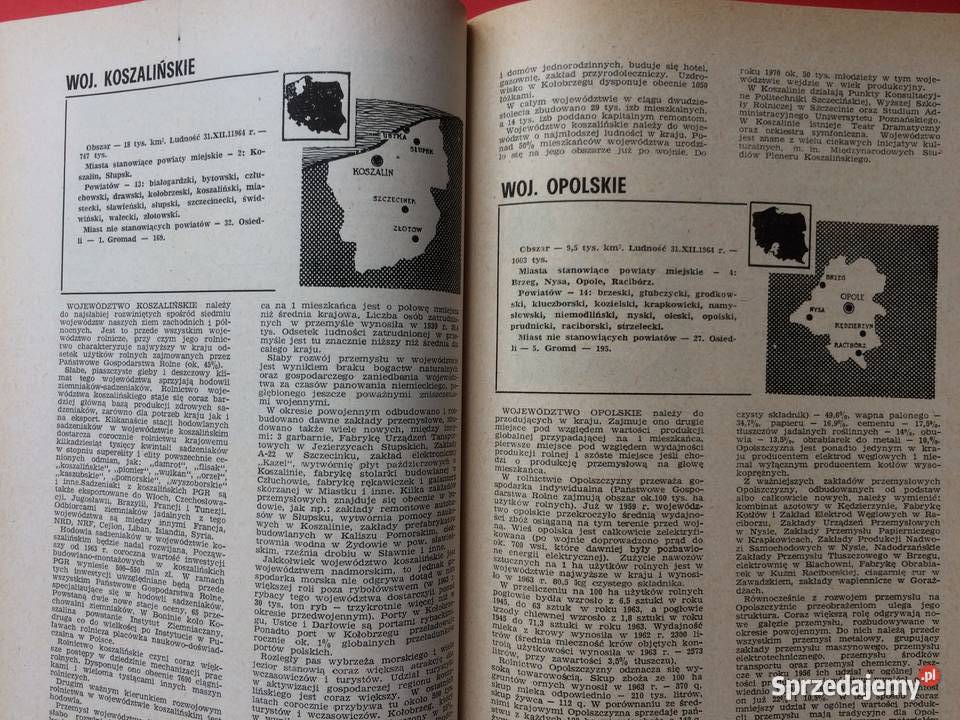 3032 Dwudziestolecie Powrotu Rocznik Ziem Zach Szczecin sprzedam