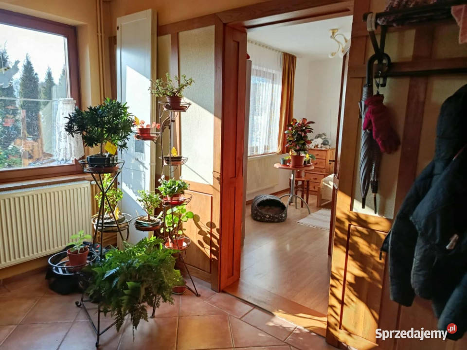 Dom wolnostojący 122 m2 6 pokoi z piwnicą i sprzedam