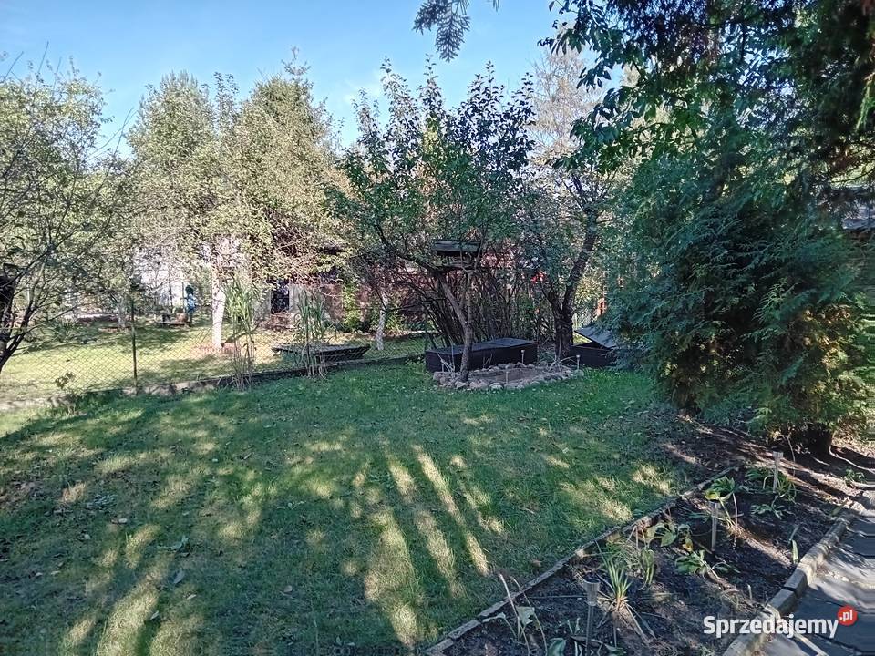 Działka ROD Zielonka rekreacyjna