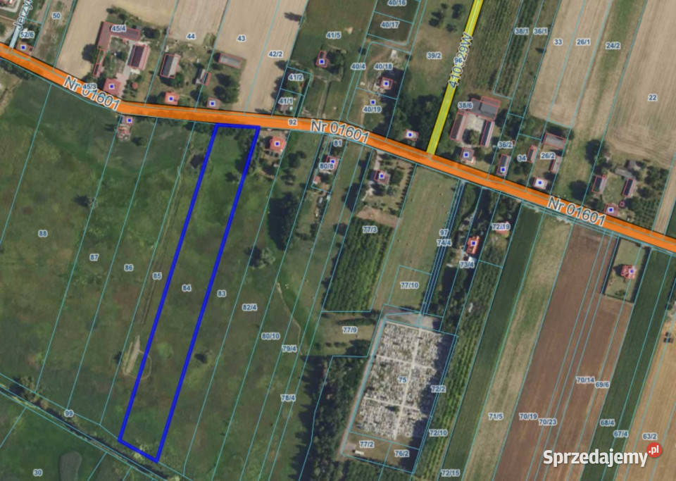 Zawady Kampinos działka z dostępem do rzeki mazowieckie