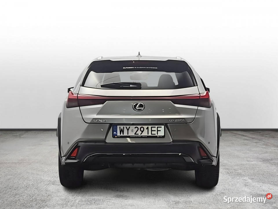 Lexus UX Sport Design 2WD Z Polskiego Salonu bluetooth Warszawa