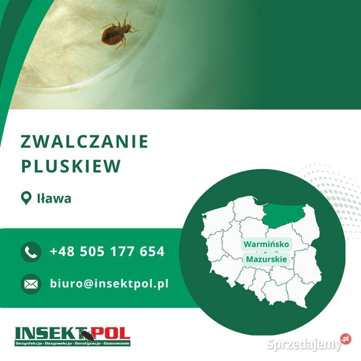 Zwalczanie pluskiew Iława Odpluskwianie warmińsko-mazurskie