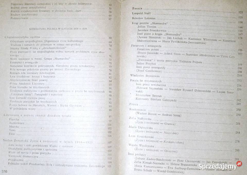 Literatura polska 19181939 kl 3 LO techników