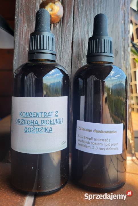 Koncentrat z orzechów piołunu I goździków 100ml śląskie Bielsko-Biała