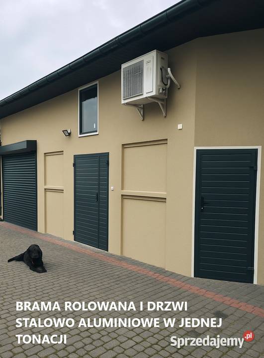 Solidne drzwi stalowoaluminiowe do piwnicy Budowa