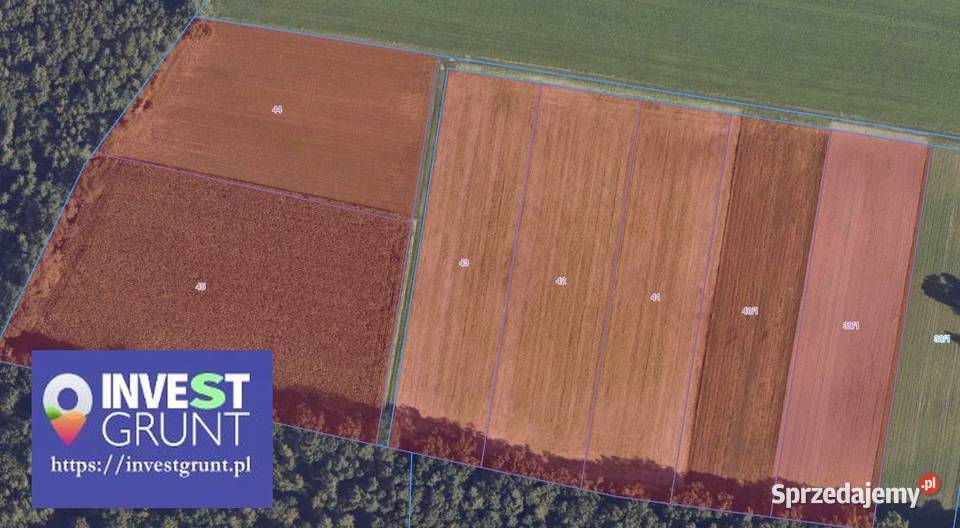 1136 ha grunty rolne przetarg na dzierżawę sprzedam