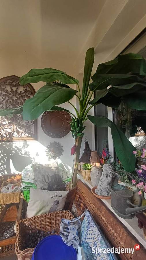 Sztuczne drzewko bananowiec 250 w donicy mazowieckie Warszawa