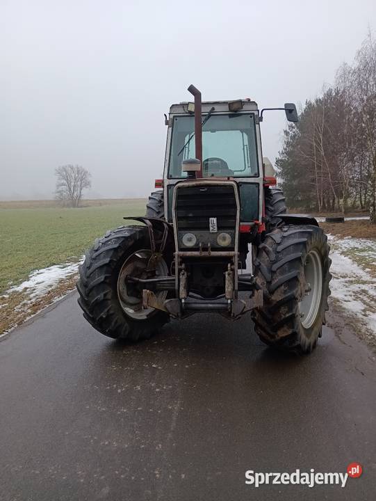 Massey Ferguson 699 Rolnictwo wielkopolskie Radyczyny sprzedam